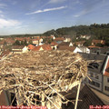 10_25-nest.jpg