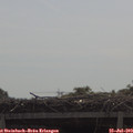 10_30-mast.jpg