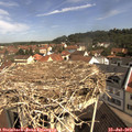 10_30-nest.jpg