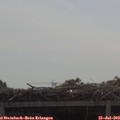 10_35-mast.jpg