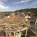 10_35-nest.jpg