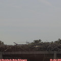10_40-mast.jpg