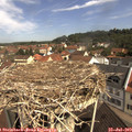 10_40-nest.jpg