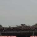 10_45-mast.jpg