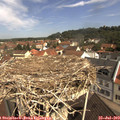 10_45-nest.jpg