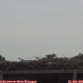 10_50-mast.jpg