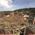 10_55-nest.jpg