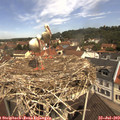 11_25-nest.jpg