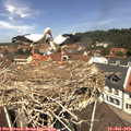 12_15-nest.jpg