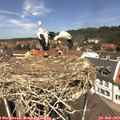 12_25-nest.jpg