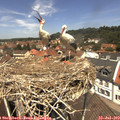 12_30-nest.jpg