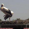 13_05-mast.jpg
