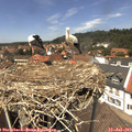 13_30-nest.jpg