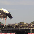 14_00-mast.jpg