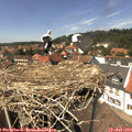 14_00-nest.jpg