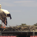 14_05-mast.jpg