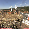 14_05-nest.jpg