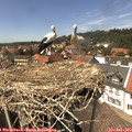 14_10-nest.jpg