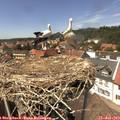 14_15-nest.jpg