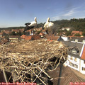 14_20-nest.jpg