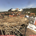 14_25-nest.jpg