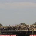 14_30-mast.jpg