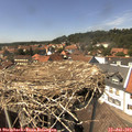 14_30-nest.jpg