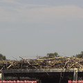 14_35-mast.jpg