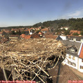 14_35-nest.jpg