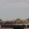 14_40-mast.jpg