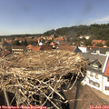 14_45-nest.jpg
