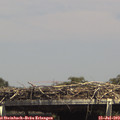 14_50-mast.jpg