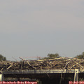15_00-mast.jpg