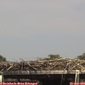 15_10-mast.jpg