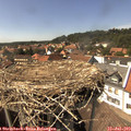 15_10-nest.jpg