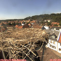15_15-nest.jpg