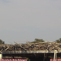 15_25-mast.jpg