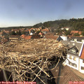 15_25-nest.jpg