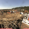 15_35-nest.jpg