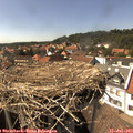 15_40-nest.jpg