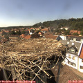 15_45-nest.jpg
