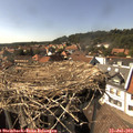 16_00-nest.jpg