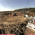 16_10-nest.jpg