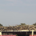 16_35-mast.jpg