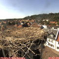 16_35-nest.jpg