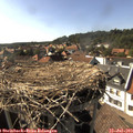 16_55-nest.jpg