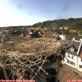 17_00-nest.jpg