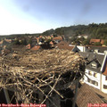 17_05-nest.jpg