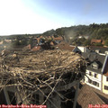 18_00-nest.jpg