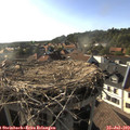 18_10-nest.jpg
